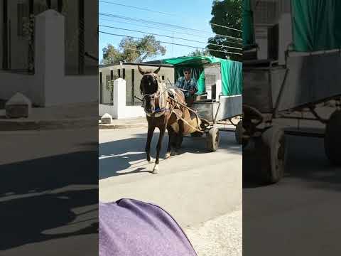 El Parque de Lajas!!! Cienfuegos #cuba