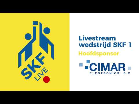 SKF 1 - De Meervogels 1