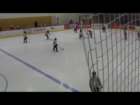 HC Vipers F RED – HC Panter F   6:0 (3:0 ; 3:0)  17.10.2017