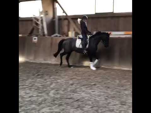 Faunus 02.2019 bei der Ausbildung durch Nicole Hofmann