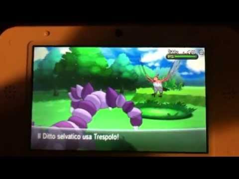 Shiny Ditto! (Pokéradar)