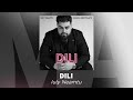Iuly Neamtu - Dili | Audio Oficial