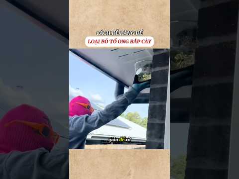 Cách để loại bỏ tổ ong bắp cày #shorts