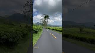 Download lagu Ciwidey Bandung ke Balegede Naringgul Cianjur Selatan #ciwidey #bandung #naringgul #cianjurselatan mp3