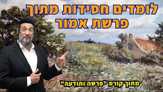 לומדים חסידות אם אליהו שירי מתוך פרשת אמור - שיעור קצר מתוך קורס פרשה ותודעה -אליהו שירי