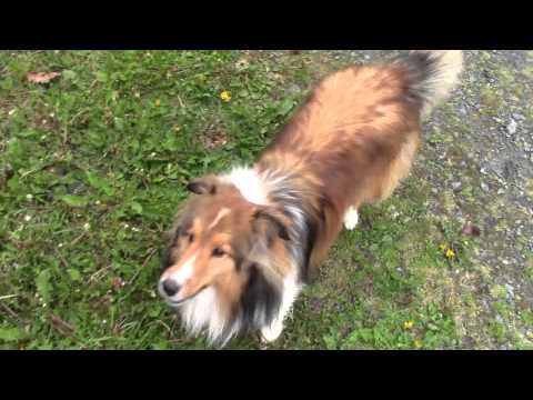 Got your day in the sun