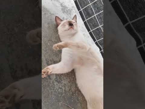 Roberto 31 August 2025