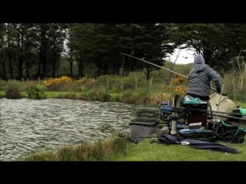 AMALWHIDDEN FARM, TOWEDNACK, ST. IVES, CORNWALL