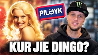 Kur dingo PILDYK draugai? (1 Dalis)