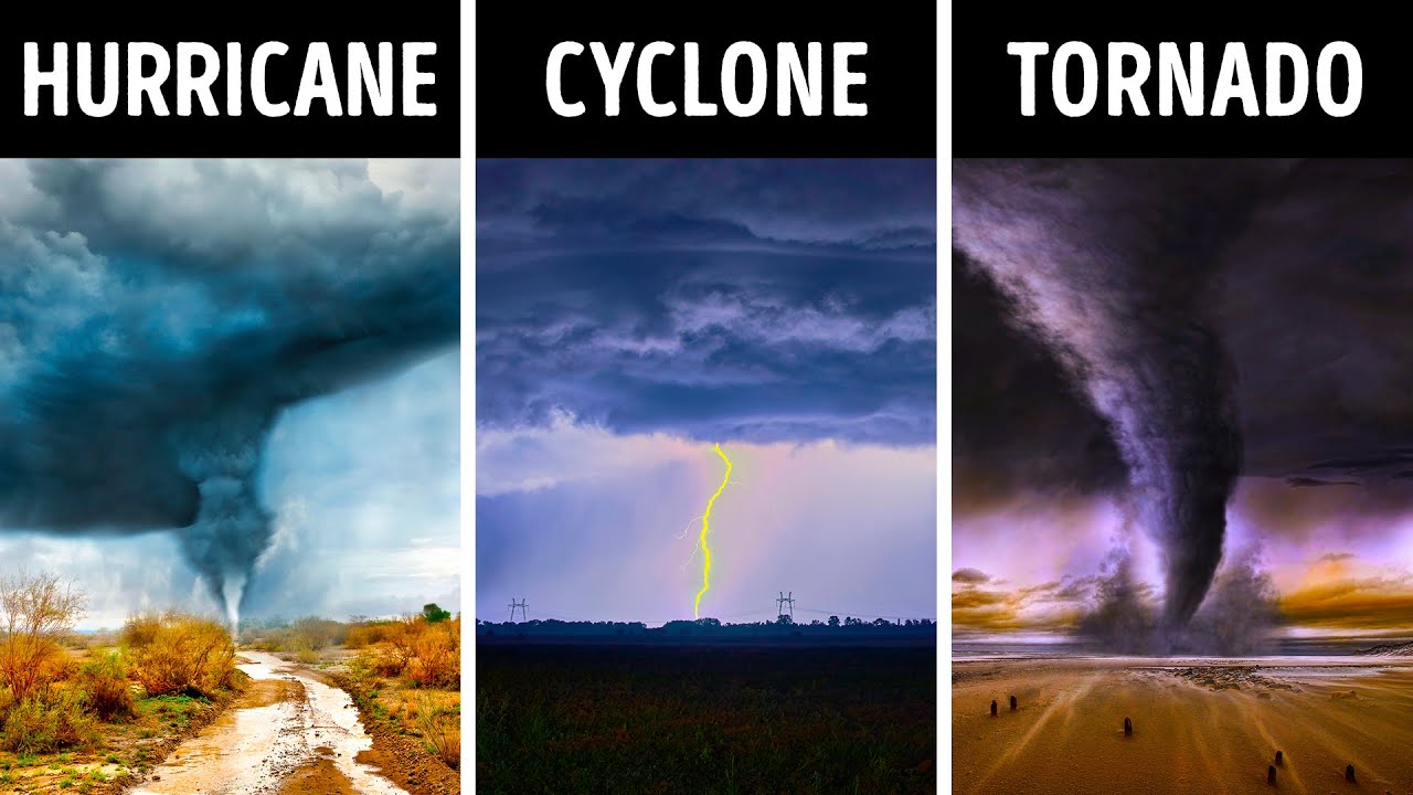 What do tornadoes and typhoons have in common?
