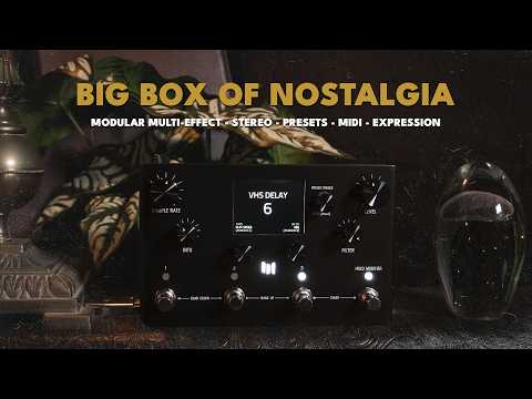 Meris Ottobit X Modular Degradation & Texture Engine Effects Pedal (black) image 5