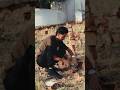 Himachali X Punjabi Shortvideo Shirts Himachal Song Youtubeshorts