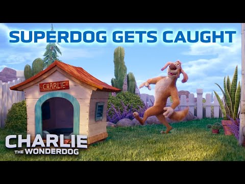 His Dog EXPOSED on the News for Having WHAT?! | Charlie the Wonderdog Clip