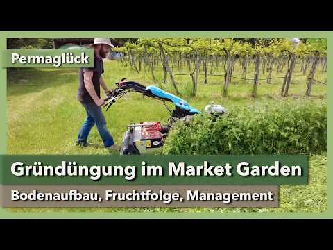 Green manure & bed preparation in market gardening | Permaglück | 2024 | Part 4