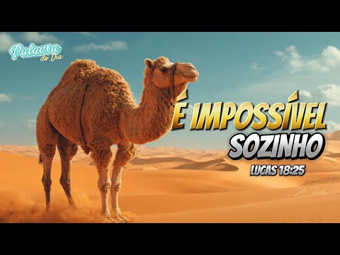 The Profound Message of Luke 18:25 - PRAYER OF THE DAY INSPIRATION, REFLECTION AND TEACHING