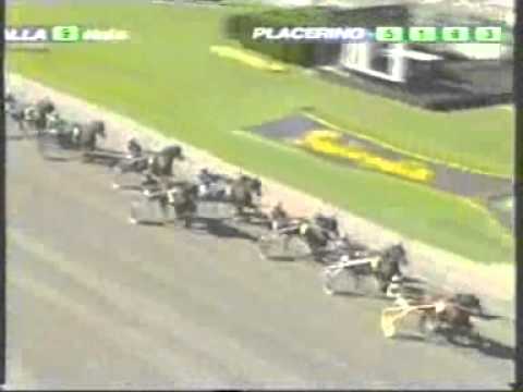 Sweden Cup 2009 -Express Merett