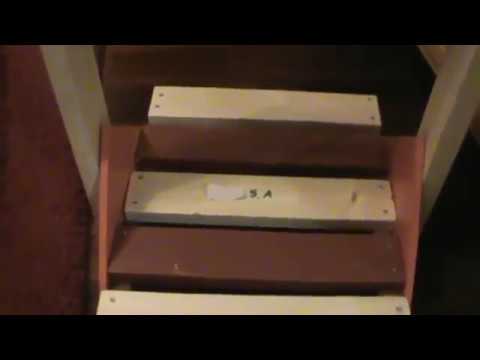 LAULU WILDEEMILLE REUP