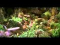 Ocarinas In Media Jen S Song Dark Crystal