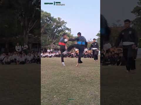 Psht vs Kungfu Naga Sakti