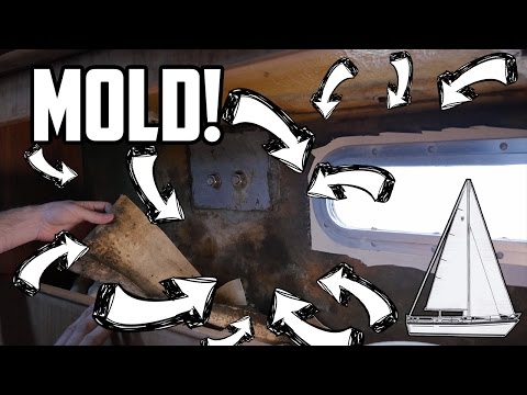 Sail Life - Sanding, mold & Dymo Rhino 4200 - DIY sailboat refit