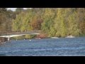 2013 Princeton Chase 1 MHV8+ Bow#s 5 Penn, 6 Navy, 7 Cornell & the Field Rowing Crew