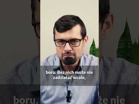 Witamina D może ci zaszkodzić, jeśli nie wiesz TEGO! Dr Jakub Pokrywka