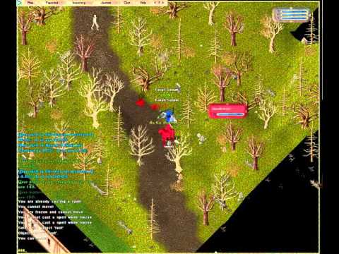 Ultima online PvP dexxer vs. mage