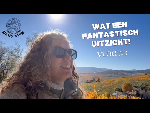 Gratis met camper bij deze wijnboer in Frankrijk | #3