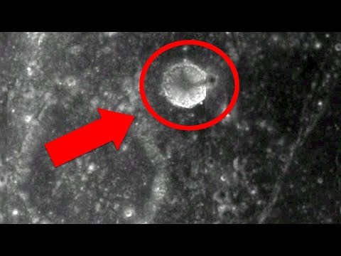 3.5-Mile-Tall Tower on the Moon: 5 Mysterious Photos from Space