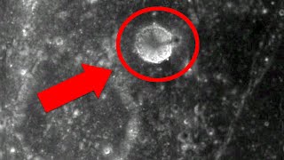 3.5-Mile-Tall Tower on the Moon: 5 Mysterious Photos from Space
