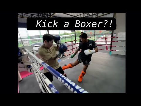 What Happens if you Kick a BOXER?! Boxer Challenges Muay Thai