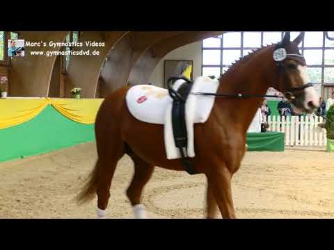 Paula Waskowiak (WEF) - Damen 03 - DJM Krumke 2019