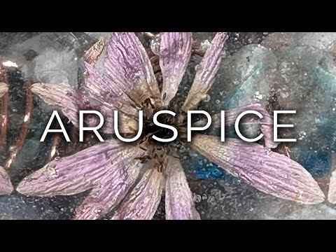 1492-IT Edera, ARUSPICE - Ipnosi Esoterica ∞ Lucio Carsi