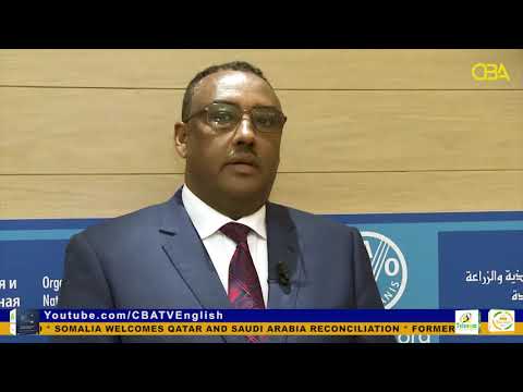 Ethiopia says humanitarian aid underway in conflict-hit Tigray