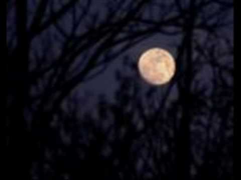 Moon Over Austin video thumbnail