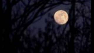 Moon Over Austin 1_0003.wmv