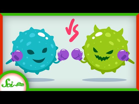 How to Fight COVID-19... with a Virus