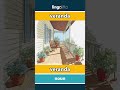 veranda - veranda video thumbnail