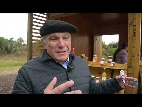 Alejo Umpiérrez - Vuelta del Palmar - Decks 2