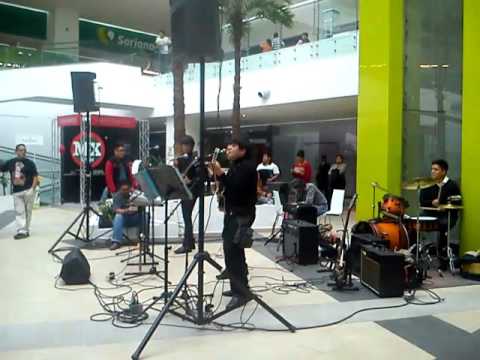 The Cutters en plaza jardin (the beatles)