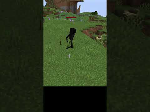 Can a Husk Defeat an Enderman? - Minecraft