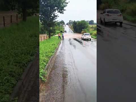 Corgo de Edéia Goiás