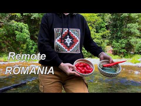 Living in Old Camper in the Mountain (NO Internet*) RV Life