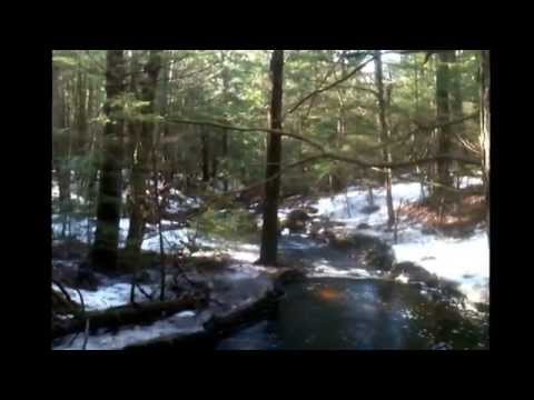 9 April 2014 around 9:00am in Templeton, Massachusetts..