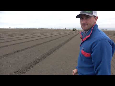 download lagu mp3 mp4 The Salinas Valley, download lagu The Salinas Valley gratis, unduh video klip The Salinas Valley