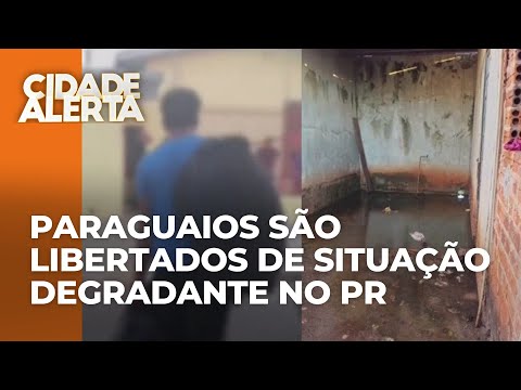 Paraguaios são resgatados de trabalho análogo à escravidão em Perobal, no Paraná