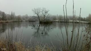 Enya. I Could Never Say Goodbye .