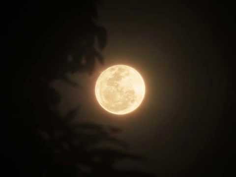 Brontosauři - Večerka  ( Jan Nedvěd )