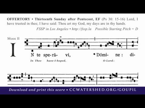 OFFERTORY “In Te Speravi” • 13th Sunday after Pentecost