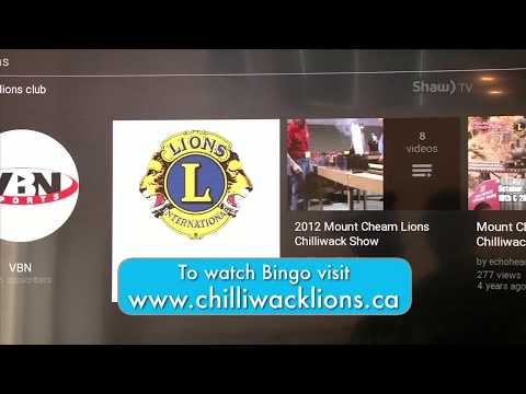 How to watch Bingo online